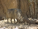Kids_NancyVisit_DZoo-NPics (5)